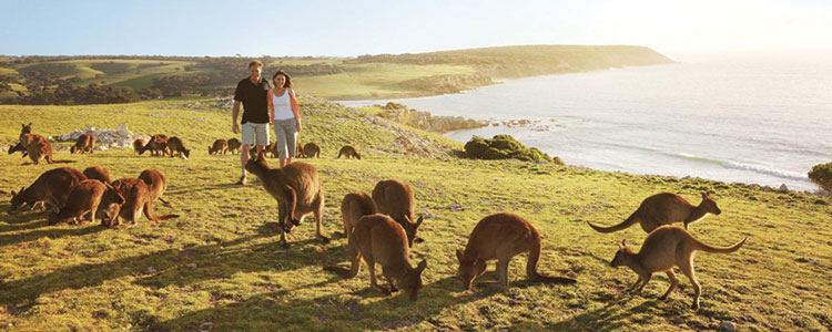 Passer les vacances en Australie